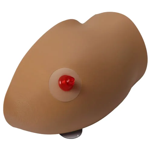 Simulátor intraoseálneho vstupu do ramennej kosti - Amy Arm