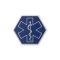 Patch Velcro 3D Star of Life