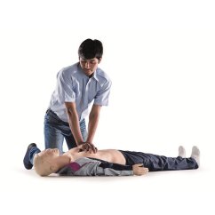 Resusci Anne AED AW QCPR - újraélesztési modell