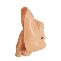 BLS Airway trainer adult - trenažér zaistenie dýchacích ciest dospelého