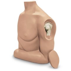 Humerus Intraosseous (IO) Trainer