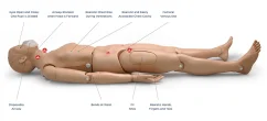 CPR Simon BLS - színlelt CPR edzéshez