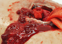 TrueCLOT BLOOD SIMULANT - koncentrát na prípravu krvi