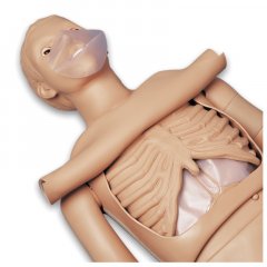 CPR Simon BLS - figurína pre nácvik KPR