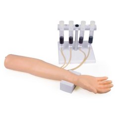 Model paže s rukou na tréning intravenóznej kanylácie