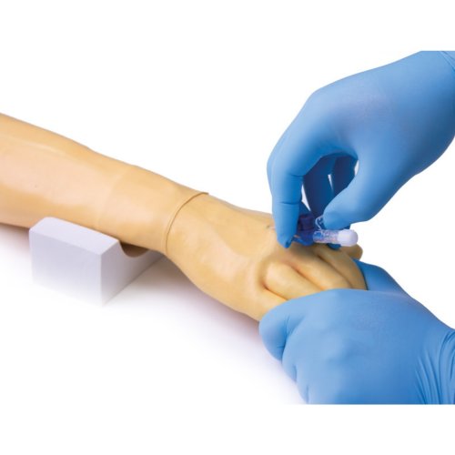 Model paže s rukou na tréning intravenóznej kanylácie