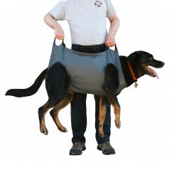 QuikLitter K9 - szállítás anyag a sérült kutyáknak
