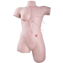 Wound & Bandage Care Trainer - trenažér obväzovania