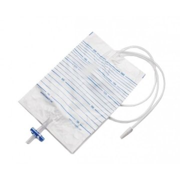 Urologie