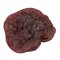 Simulaids Blood Clot Medium - model krvnej zrazeniny